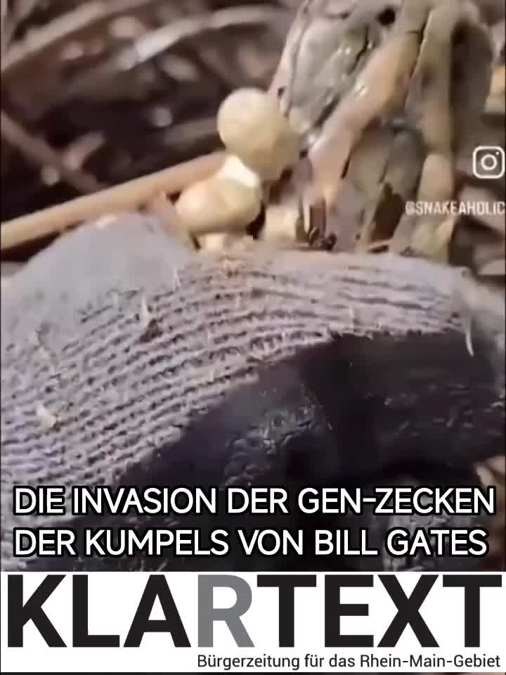 @ChrisQuerdenken
