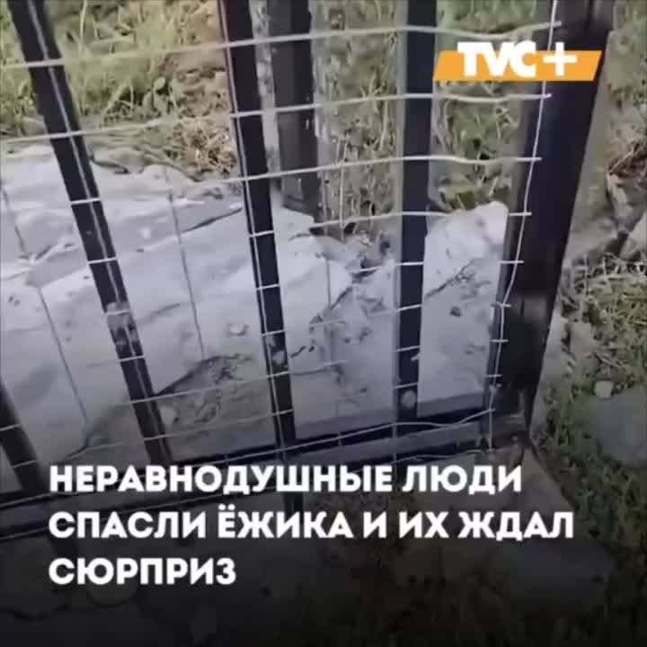 @Лариса