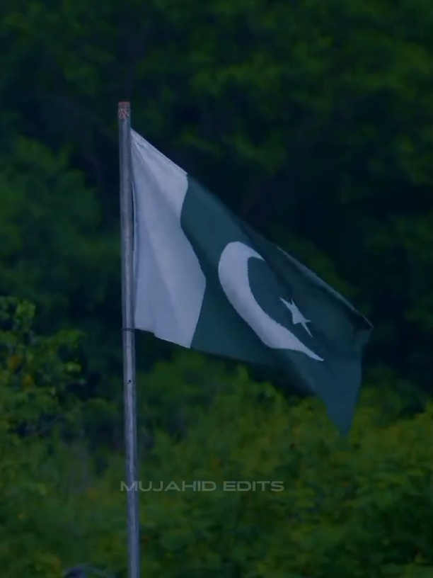 @MOULANA BIJLI GHAR 🌺
