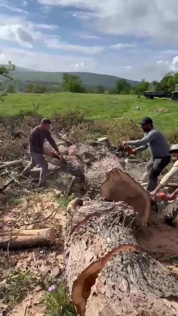 @korkmaziletişim.80