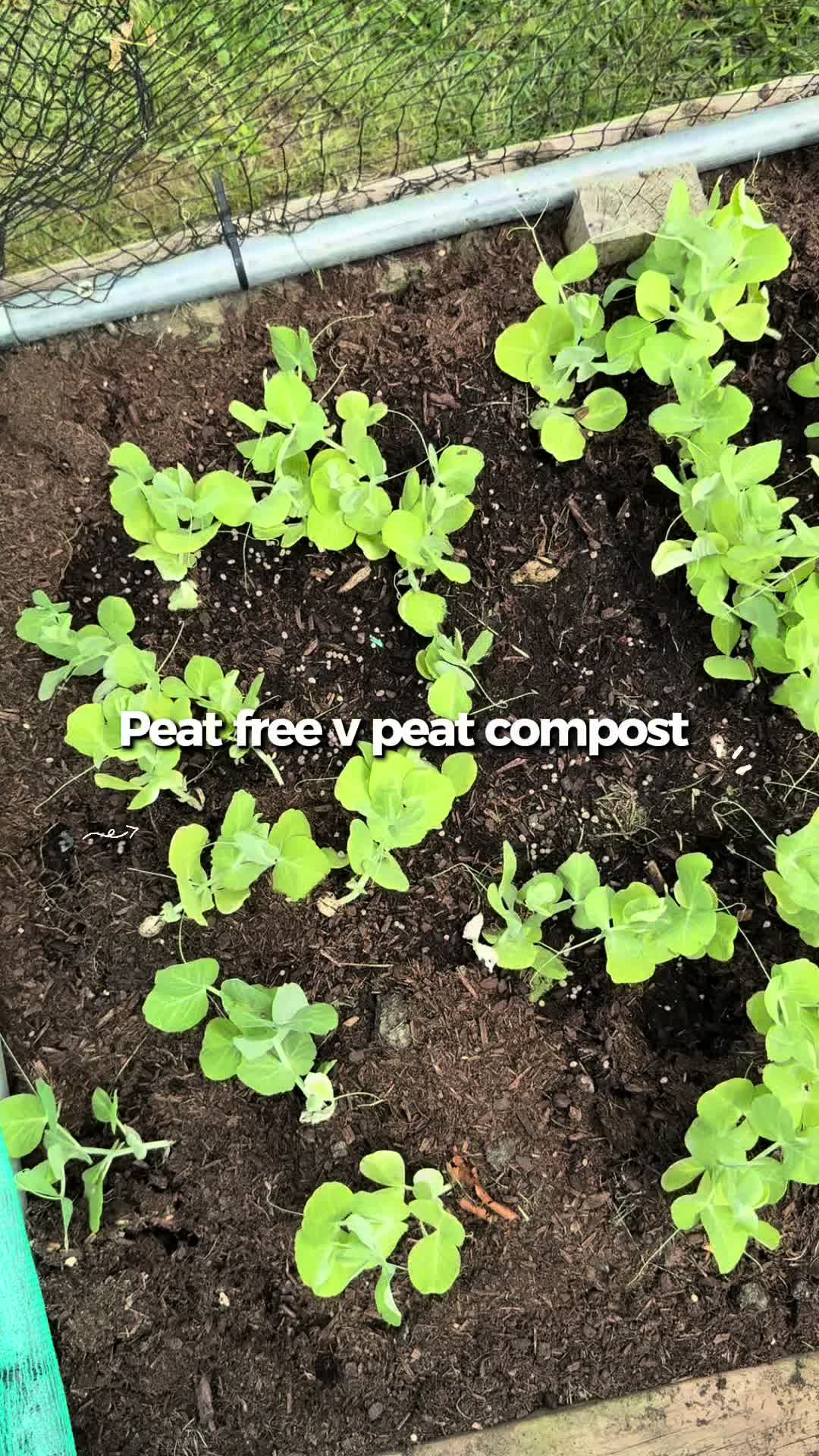 @AllotmentOnline