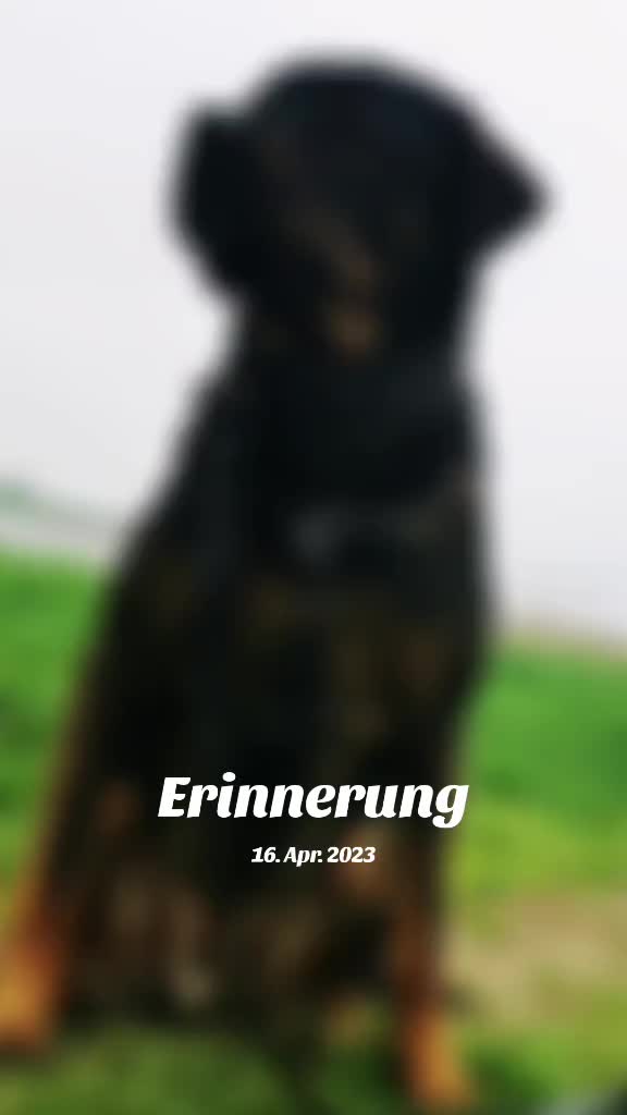 @Dieviervondertanke92