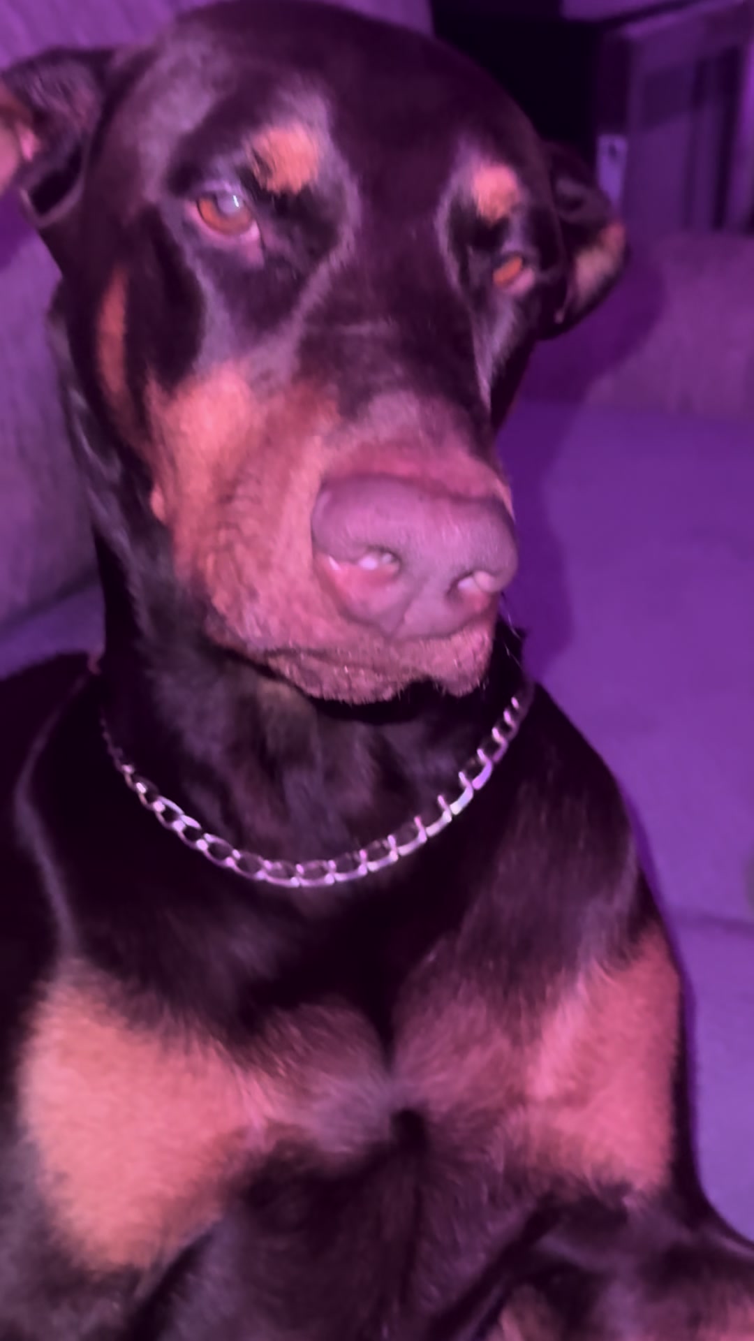 @ShantitheDobie
