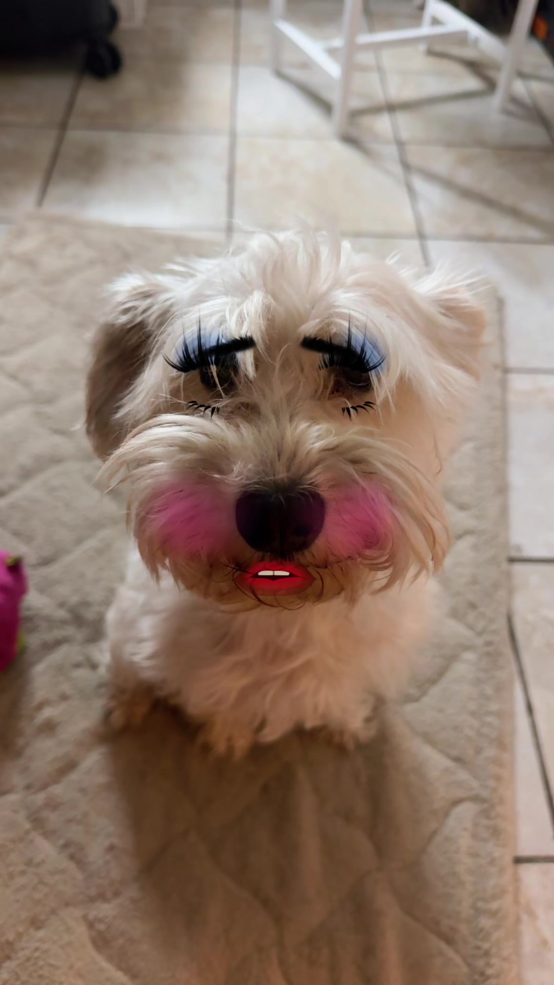@Gizmo😈