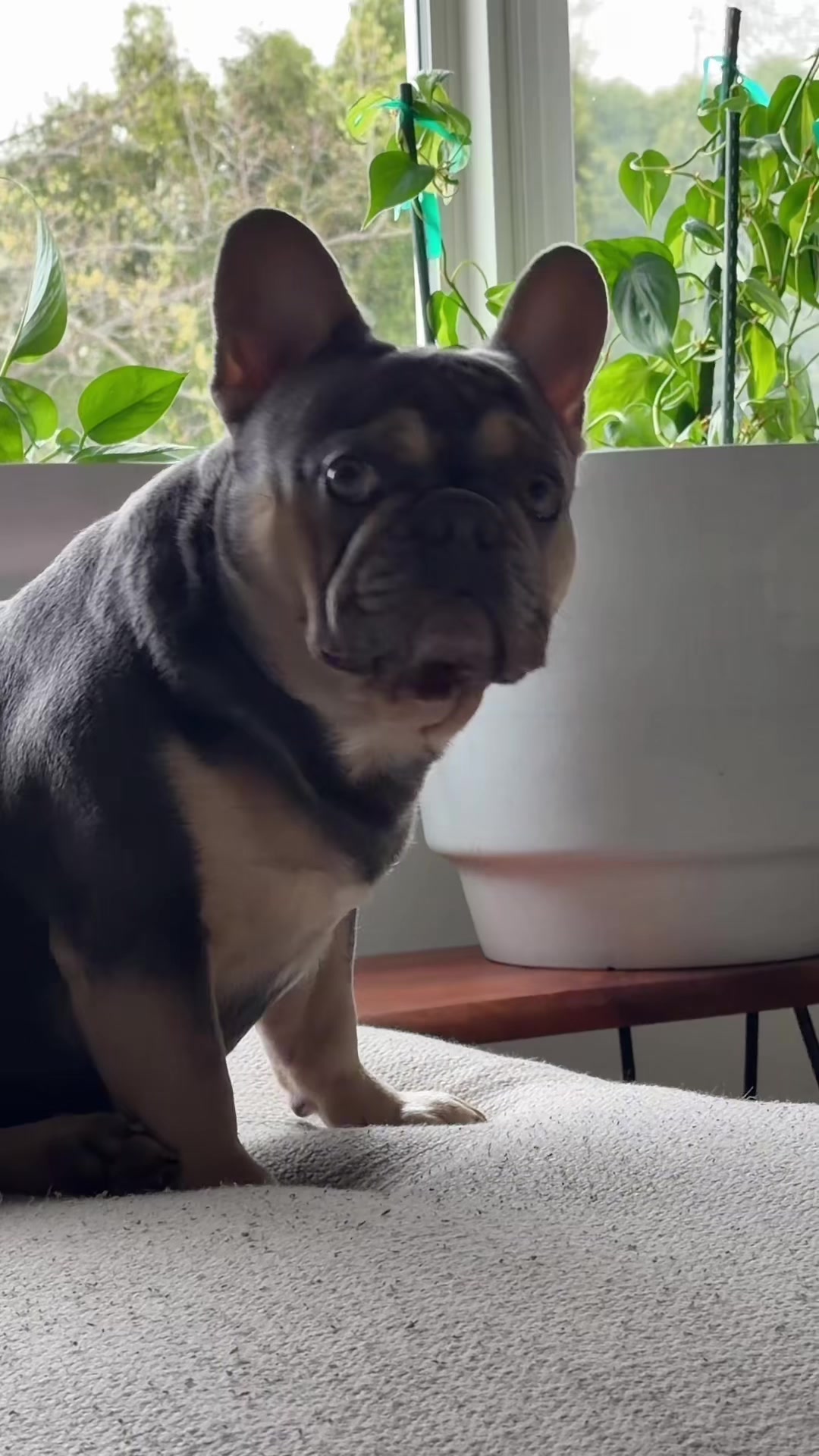 @IamWalter