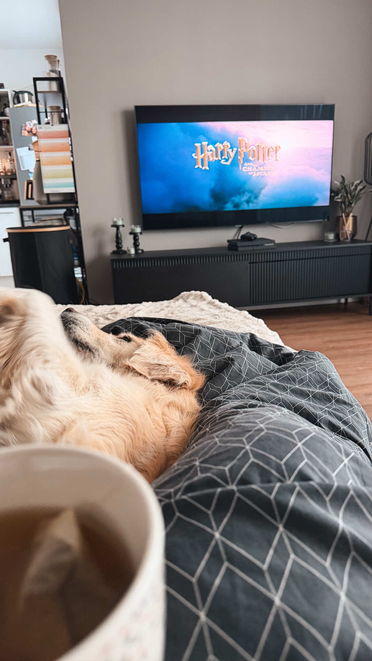 @ioanna.ira🐾