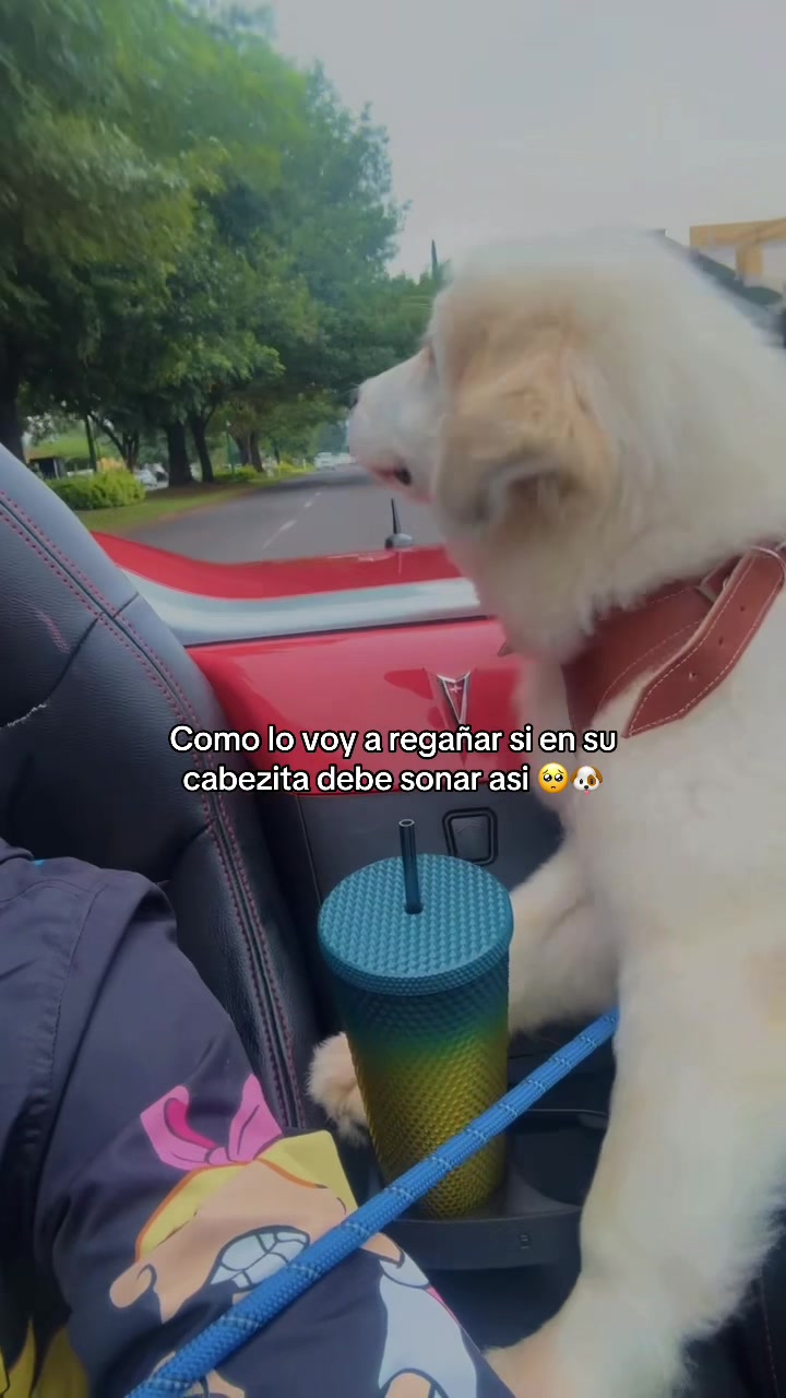 @Ricardo Andrade