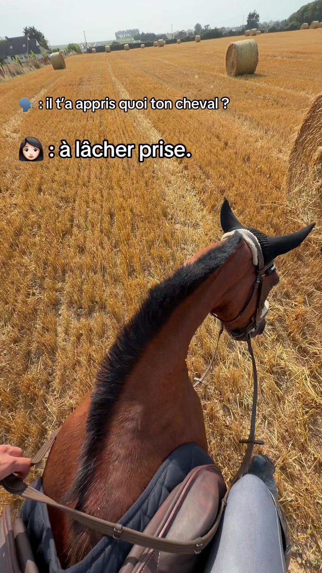 @Laurie