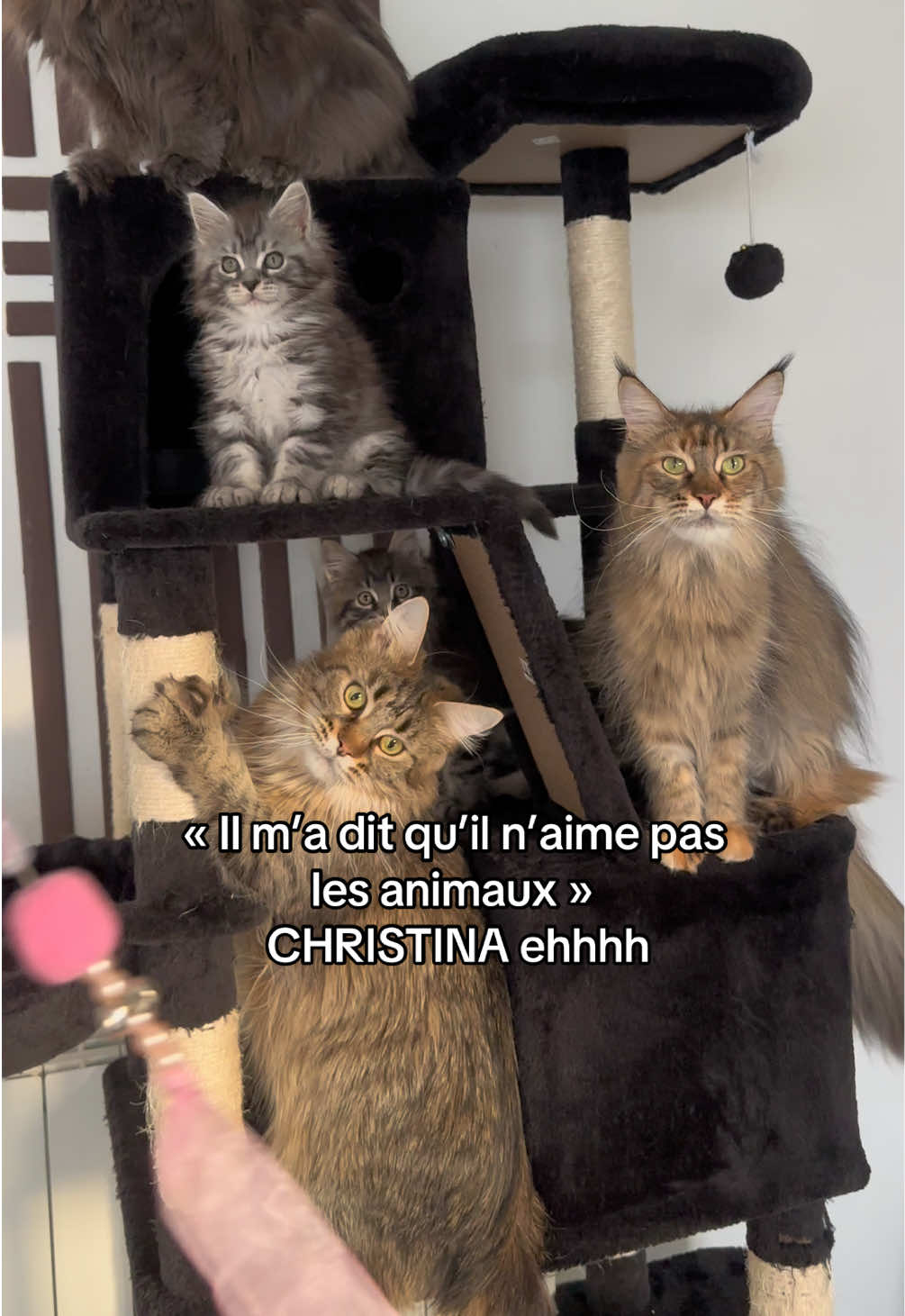 @•Emmanuelle. Éleveuse pro'•