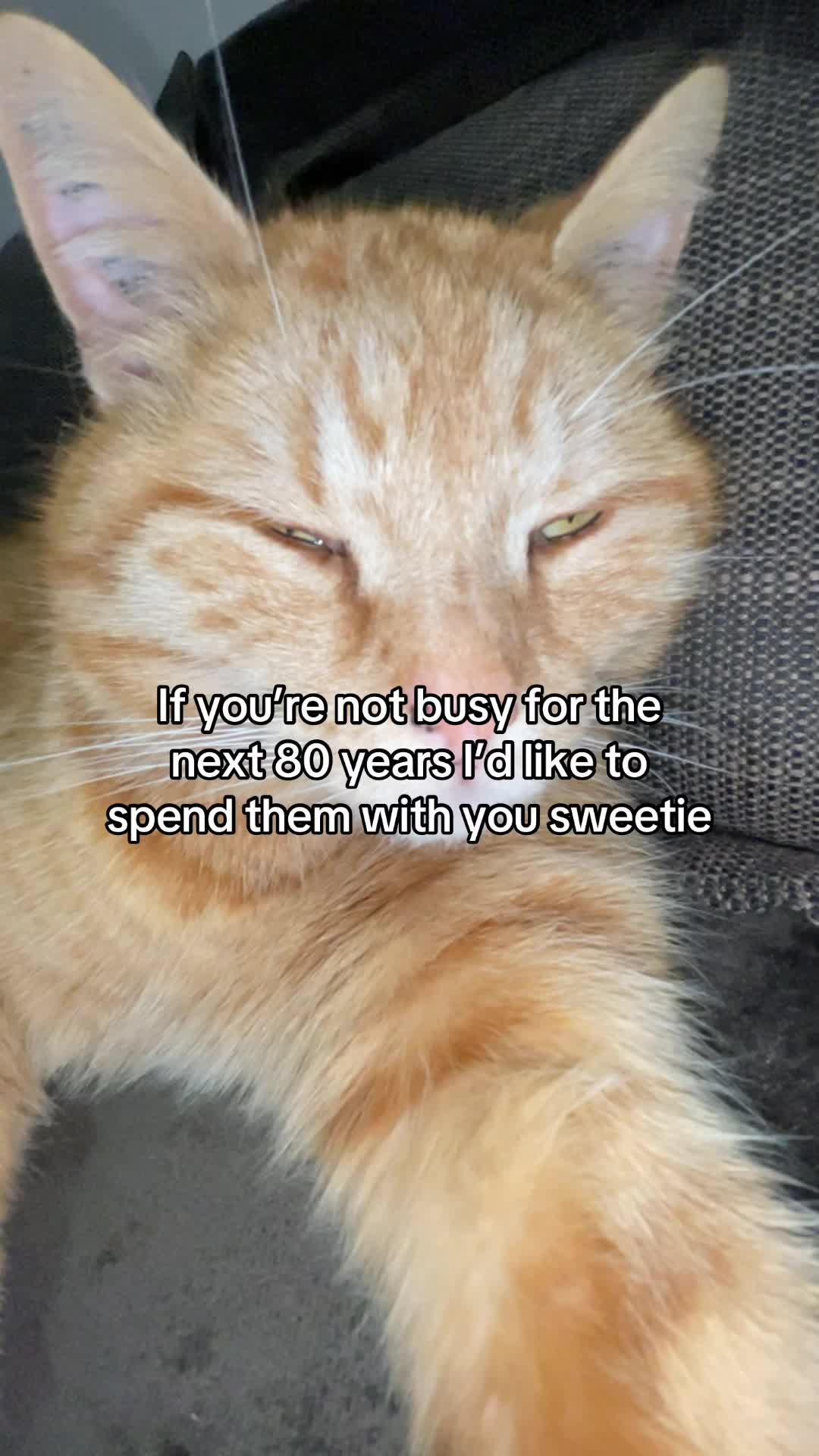 @Simba
