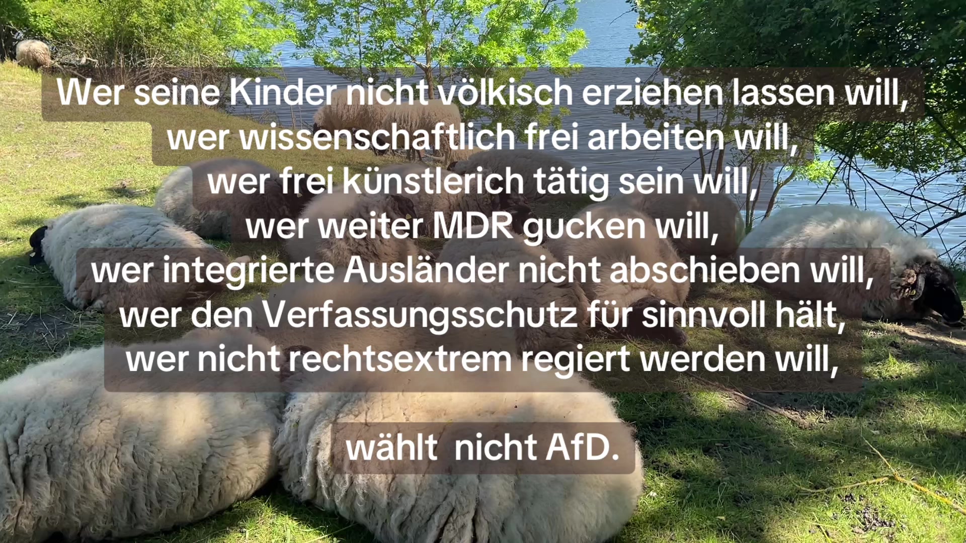 @Contra.AfD