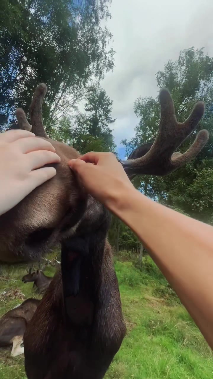 @𝓟𝓱𝓲𝓵