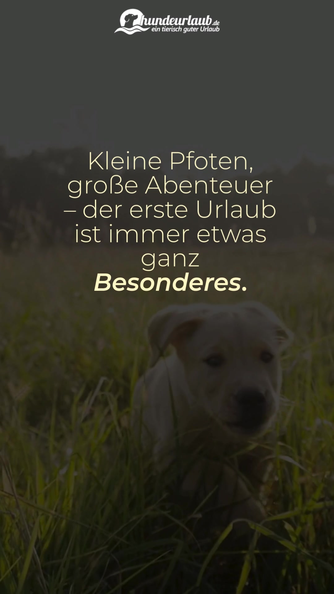 @Hundeurlaub.de