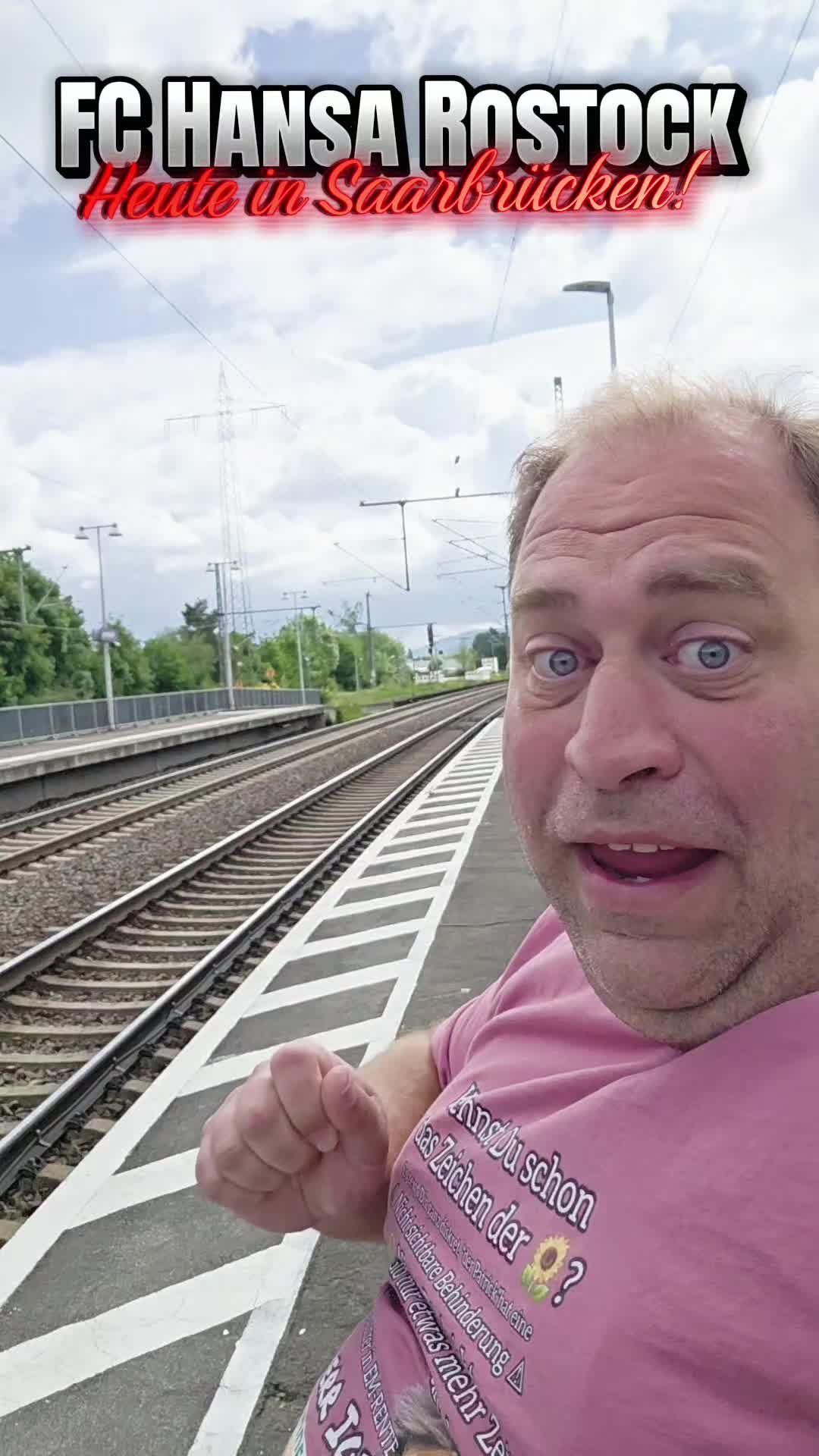 @Herr Igel entdeckt die Welt ☑️