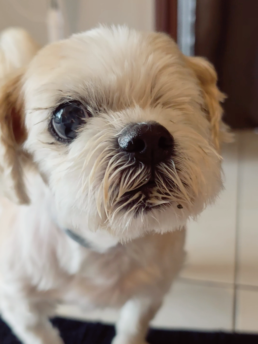 @ᴀɴᴀꜱᴛᴀꜱɪᴀ & ᴀᴋɪʟᴀ