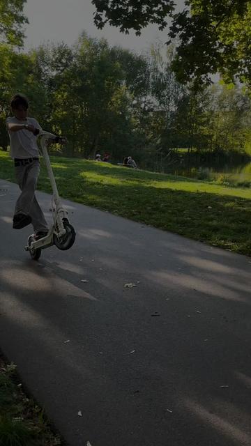 @800W.bielzx