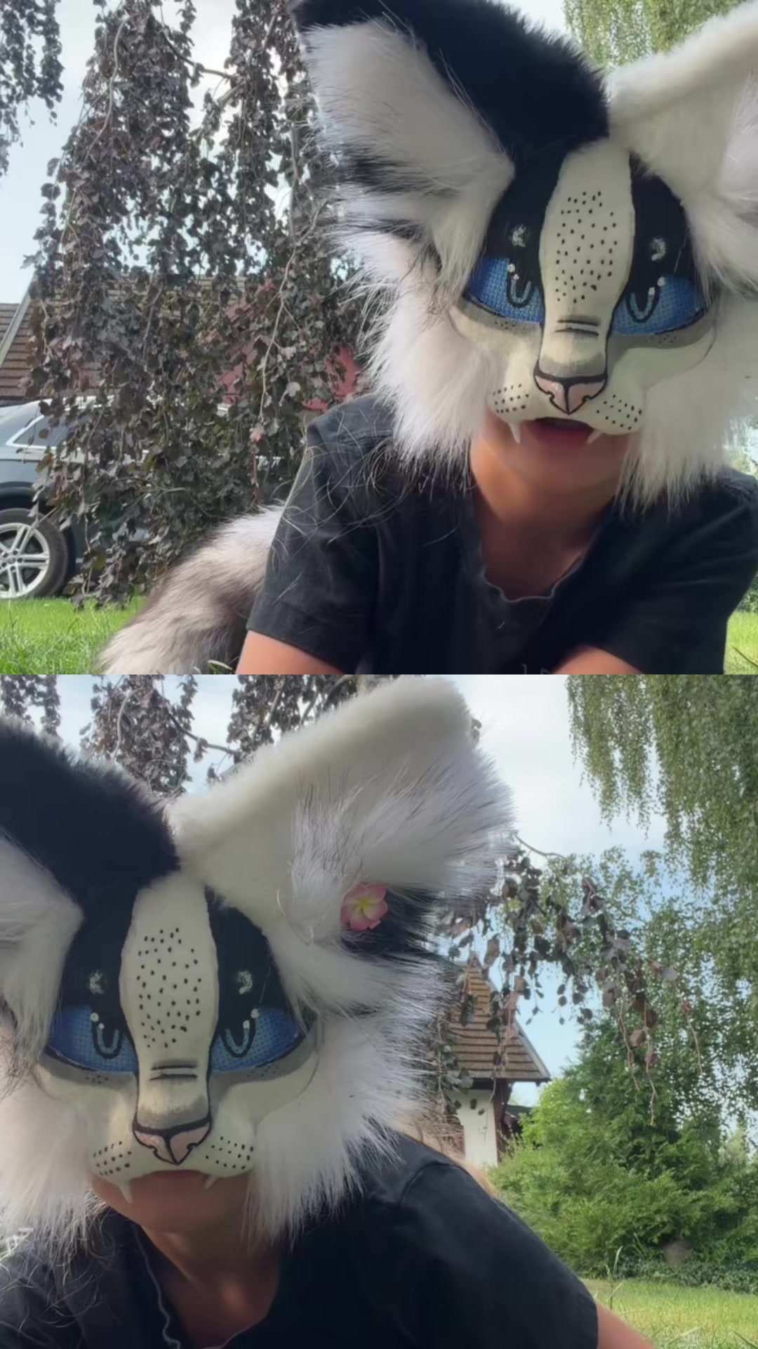 @🍁🌿Therian_Lexy🐾🪽
