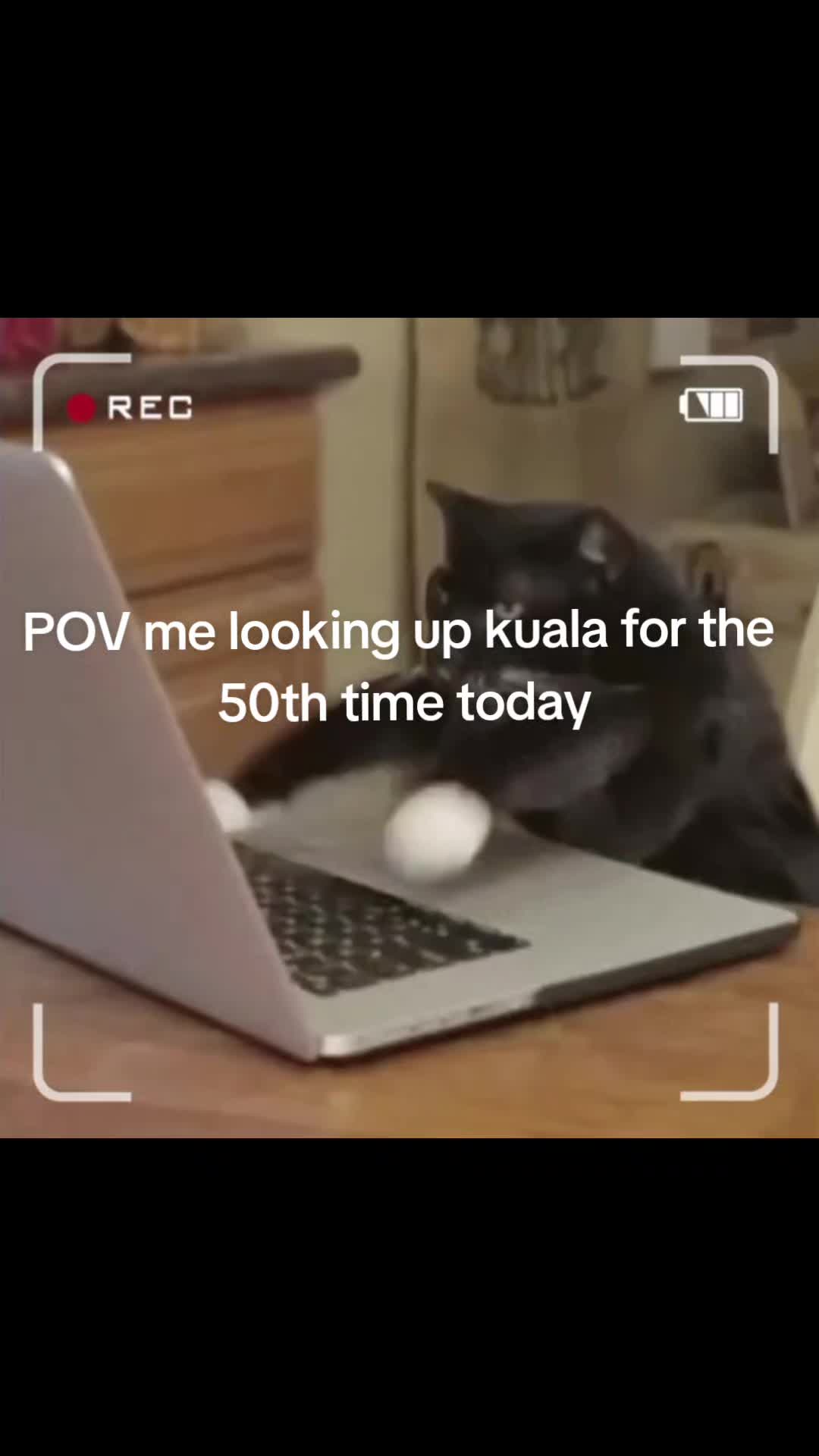 @KUALA_HQ