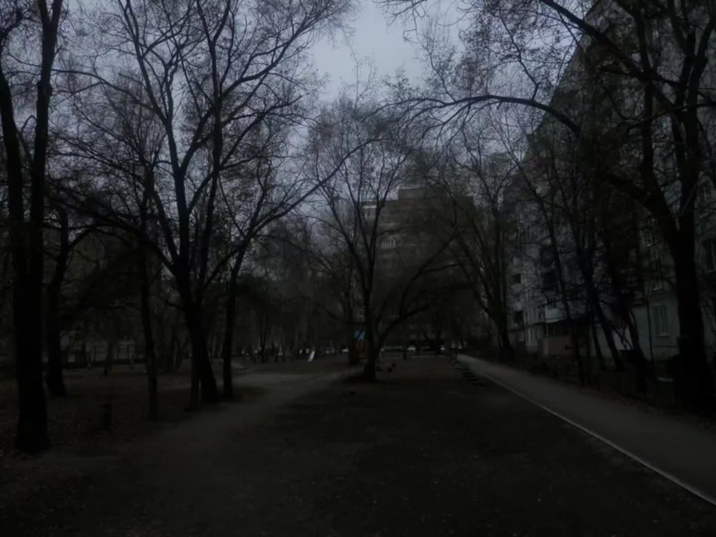 @тгк: light xcxx