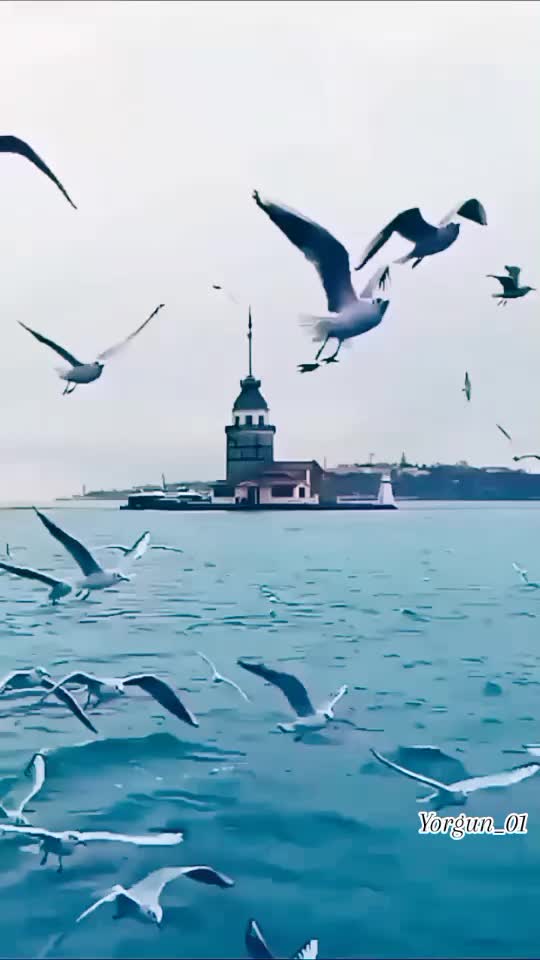 @Yorgun_01