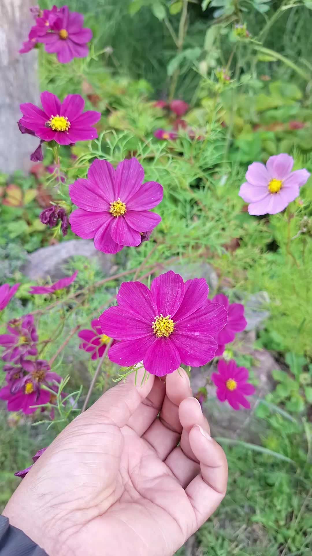 @Cathy A.V29