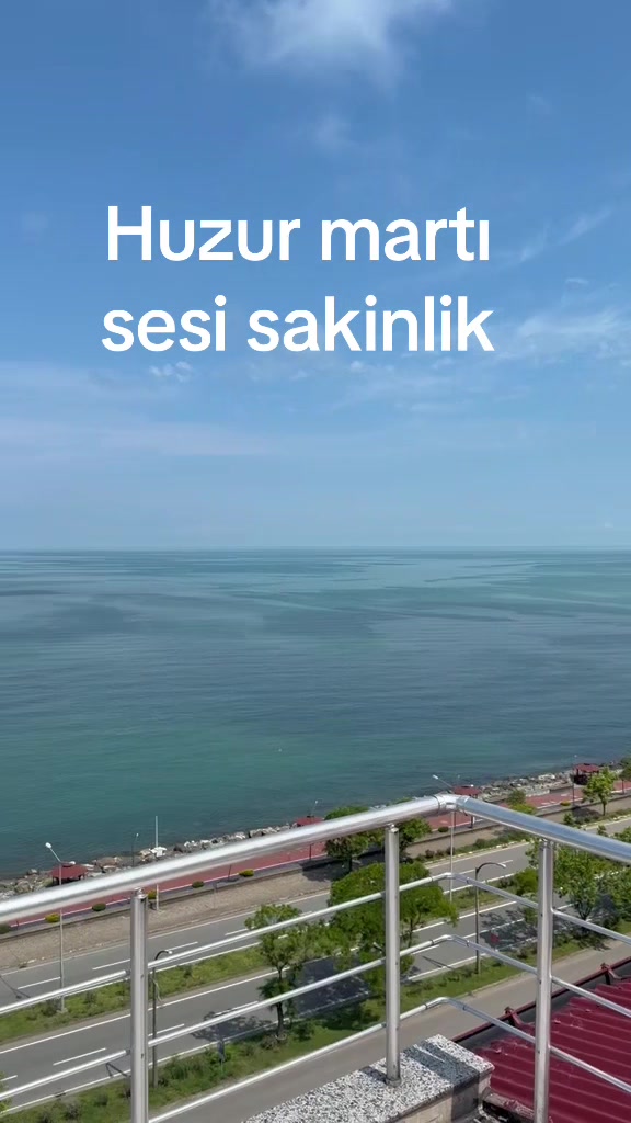 @Şervan Oran