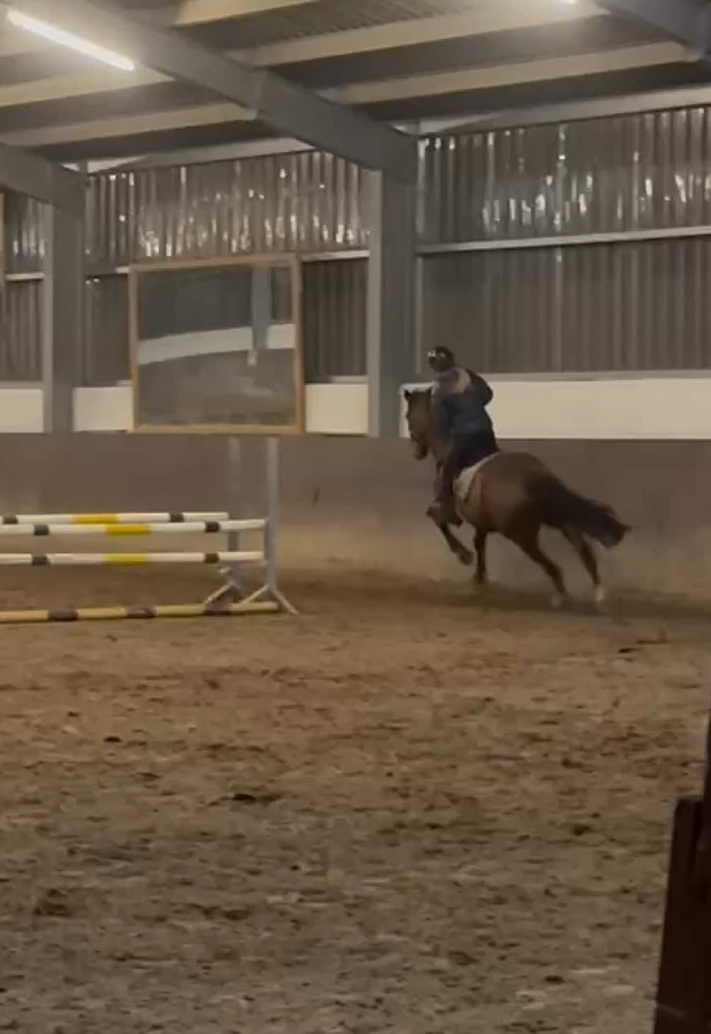 @La.Dolce.Horses