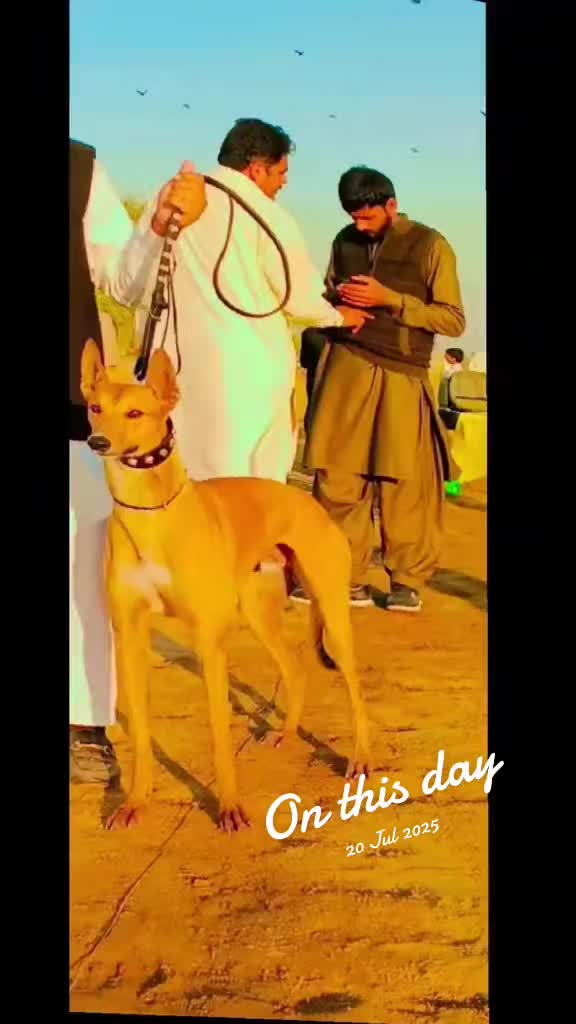 @KiNg GuJjAr 💓