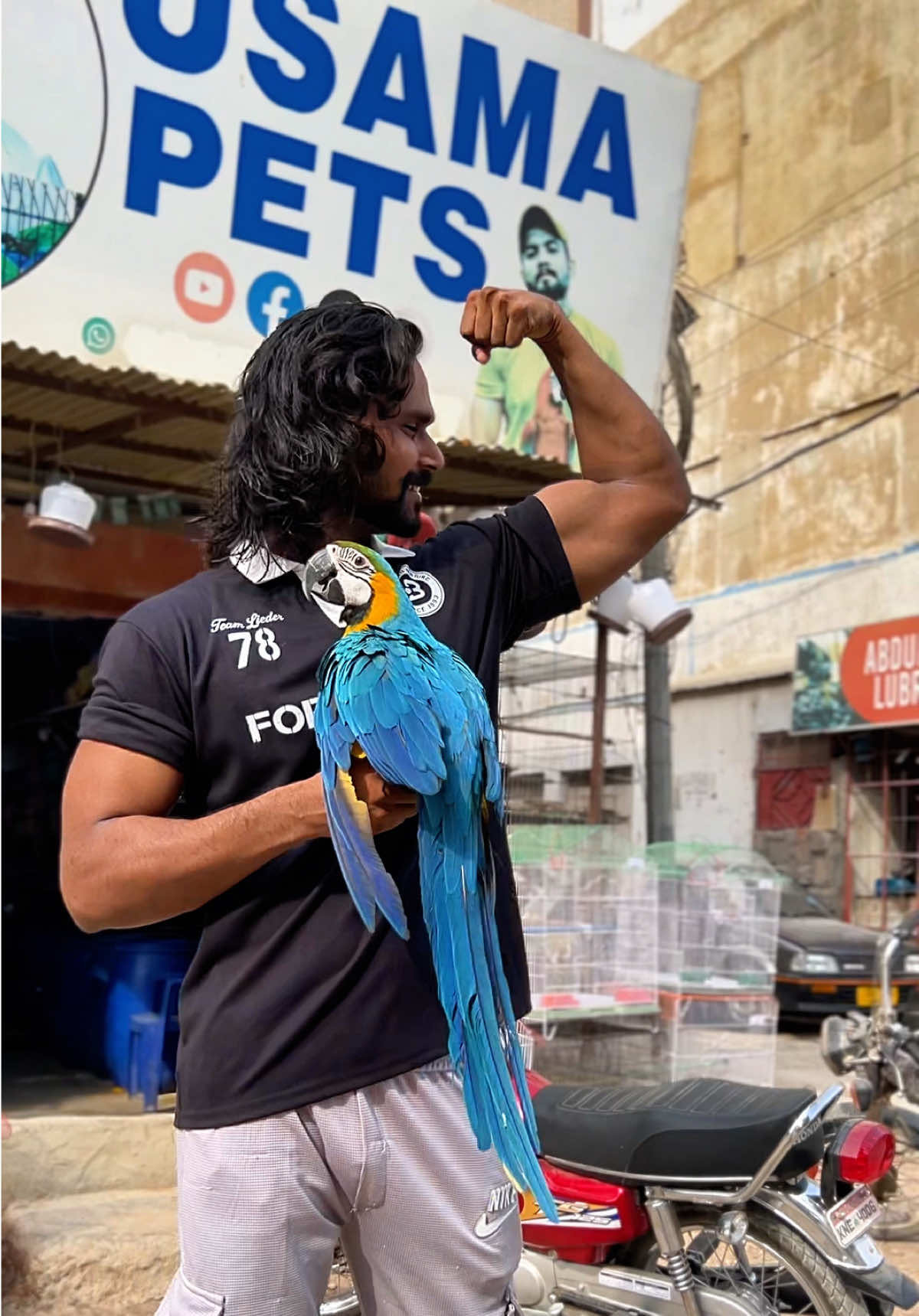 @Usama pet shop Karachi