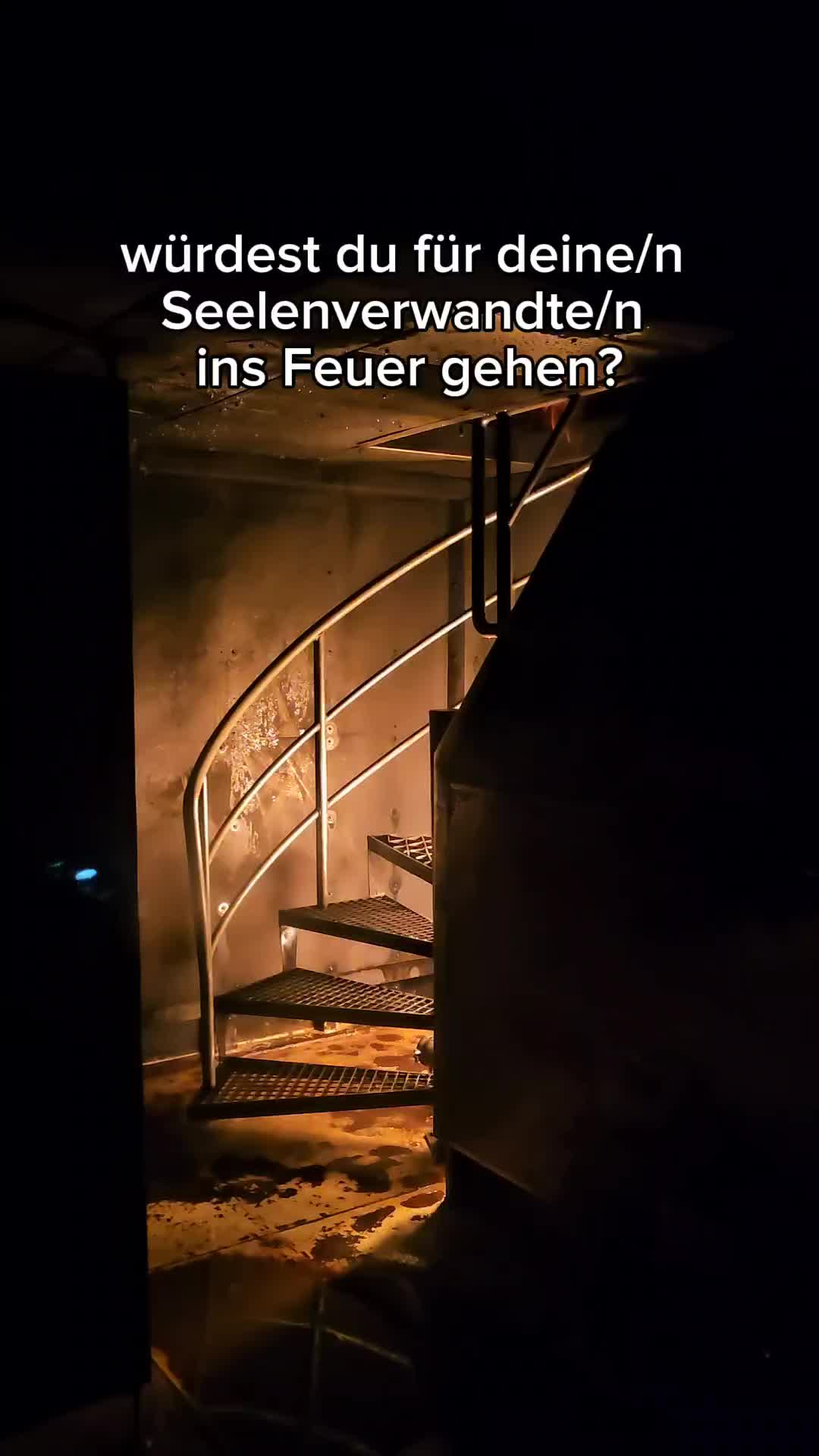 @Franzi Kamberger _Autorin