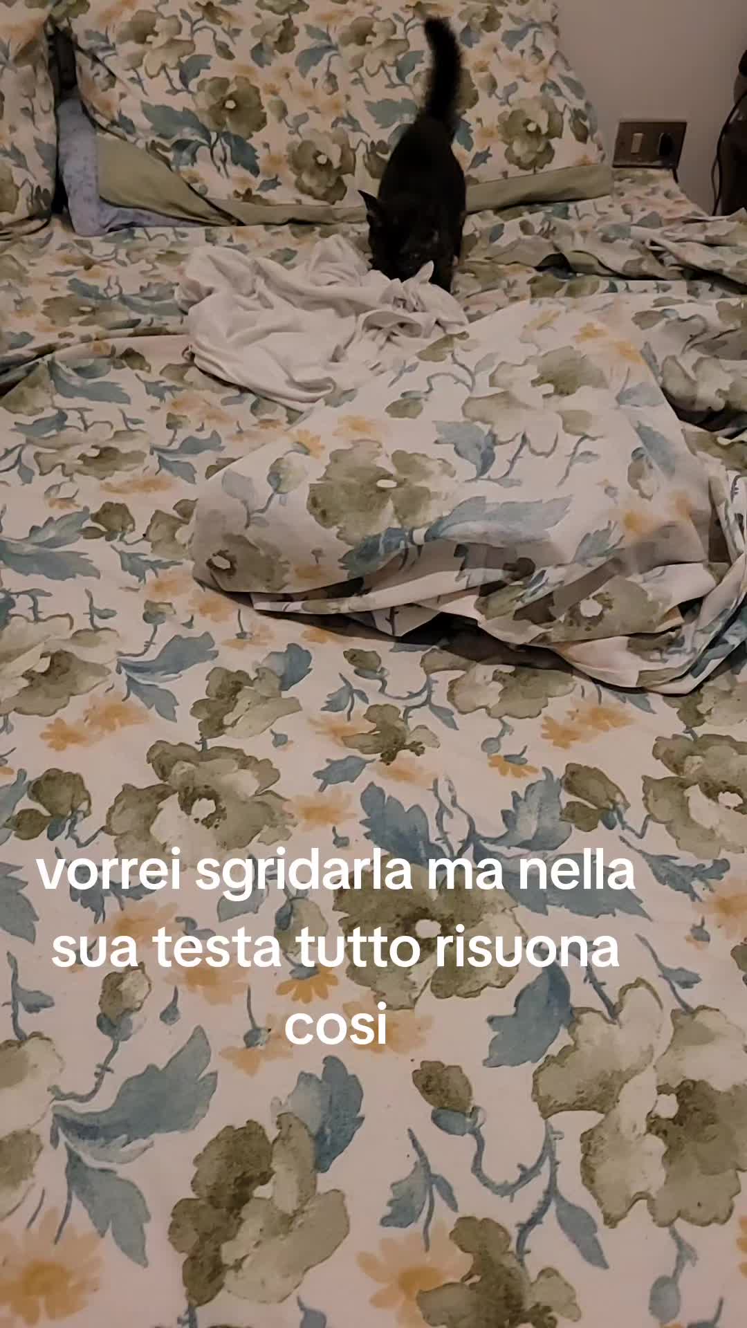 @Elisabetta Chelo🌻
