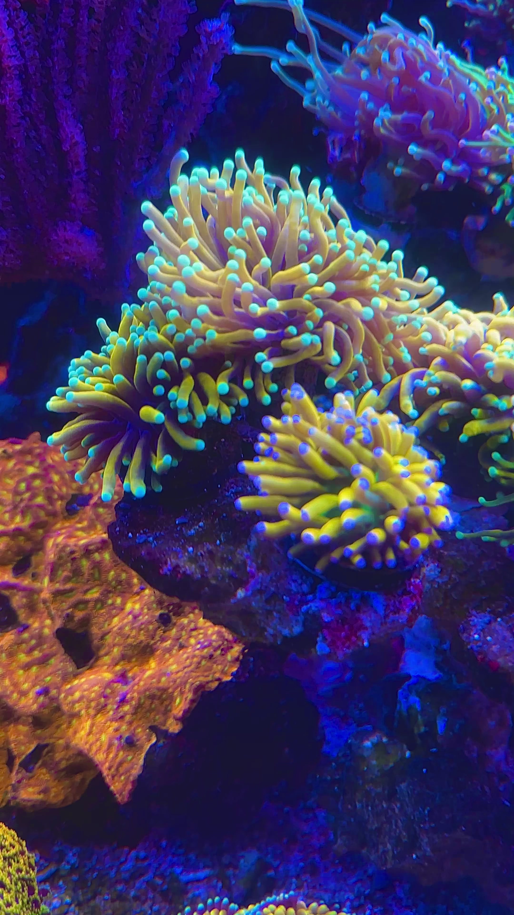 @SaltWaterShane