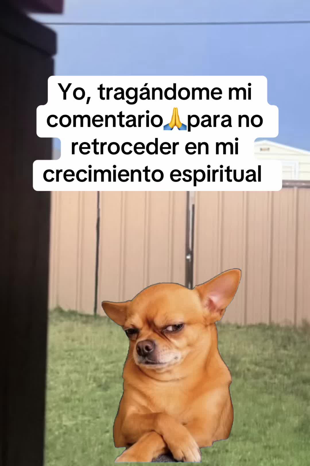 @frases_para_tupagina