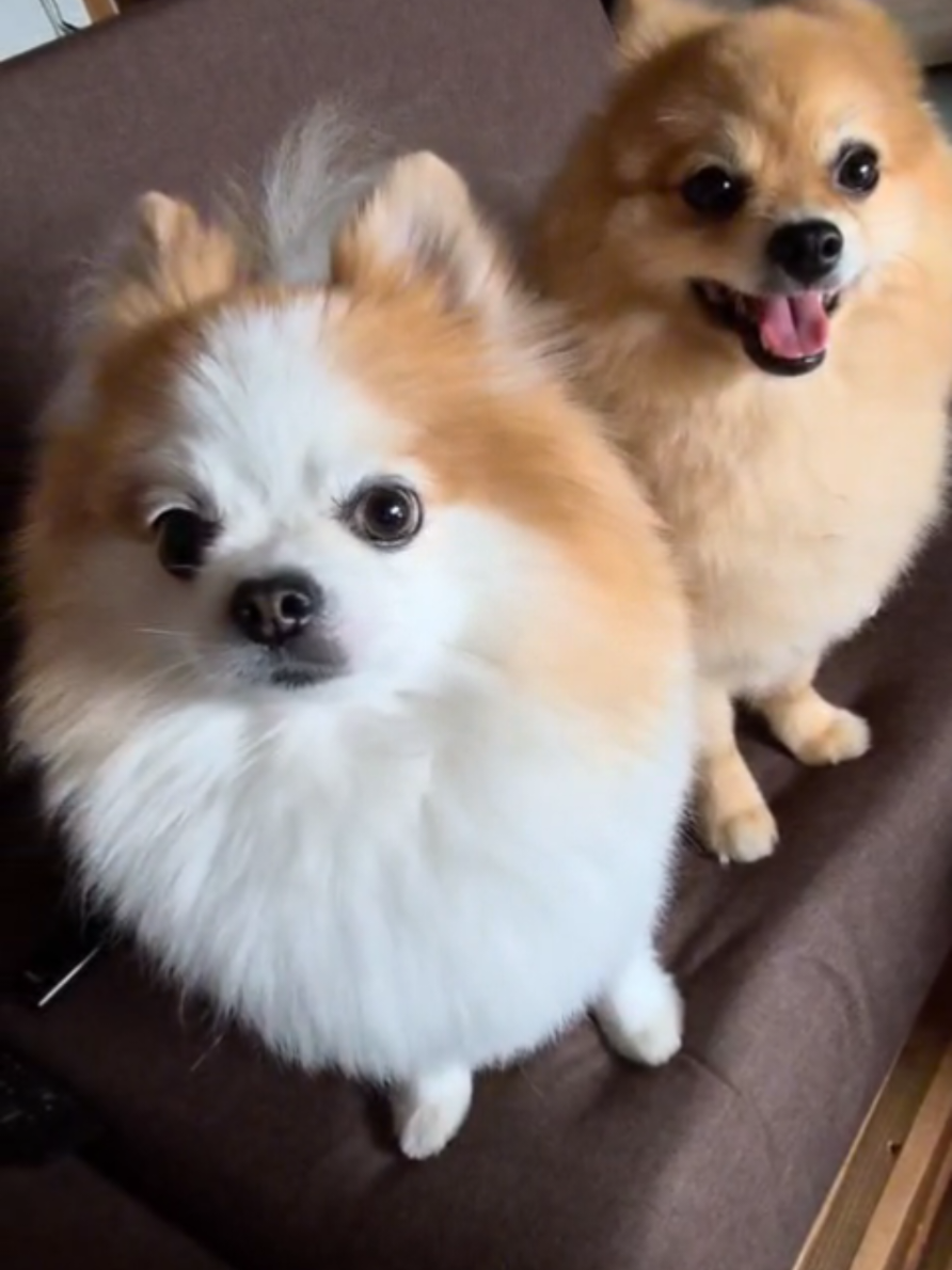 @Milow und Sammy