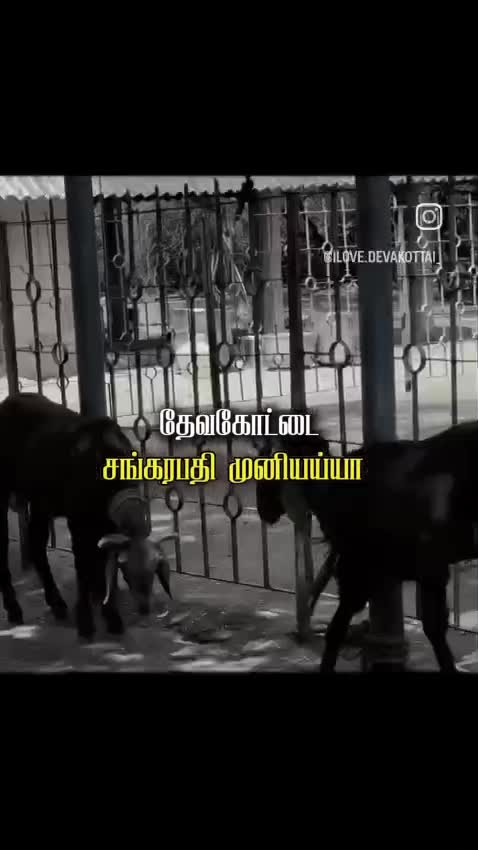 @ஓம் சற்குருவே சரணம்