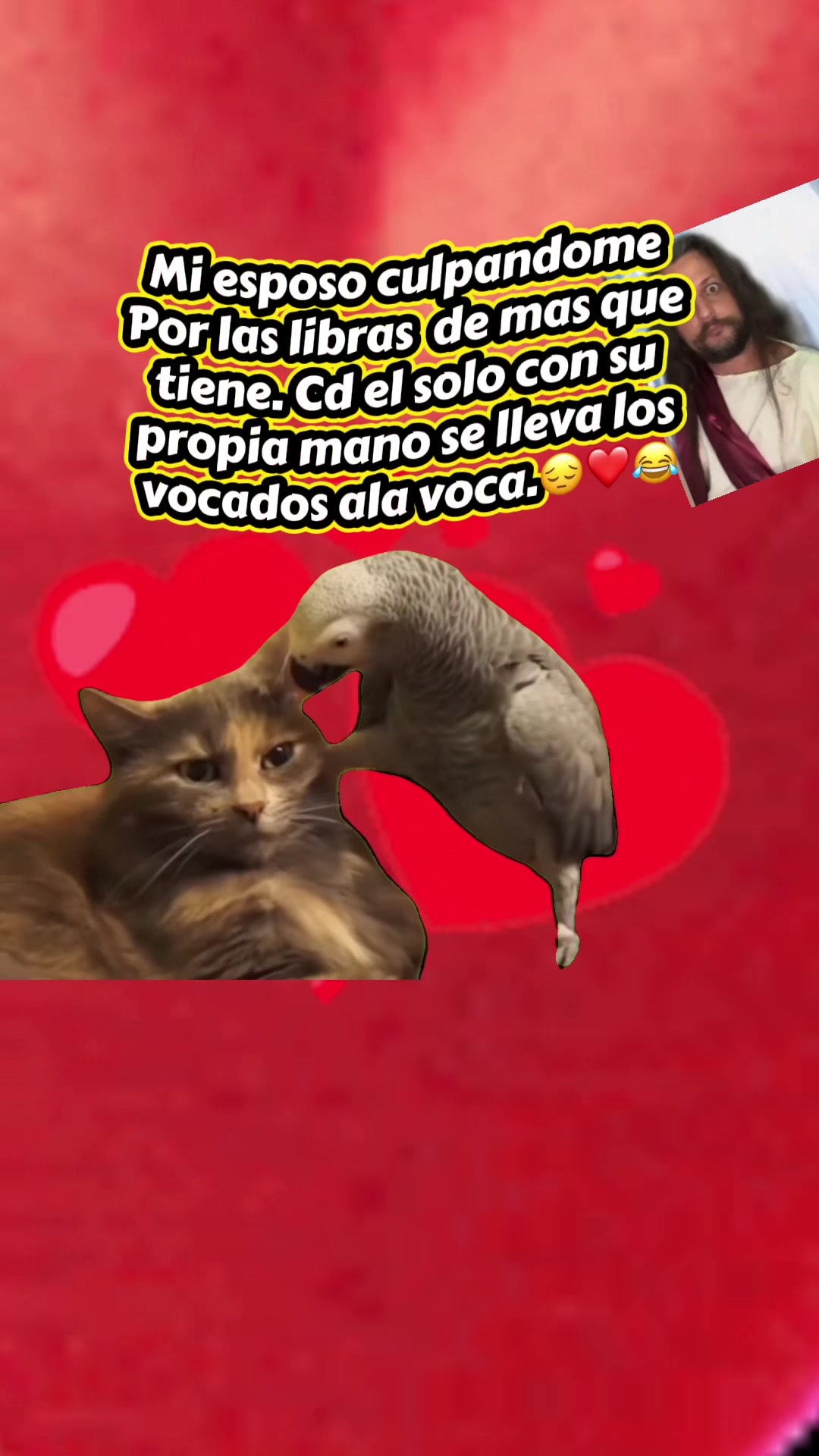 @HEIDY RIVERA