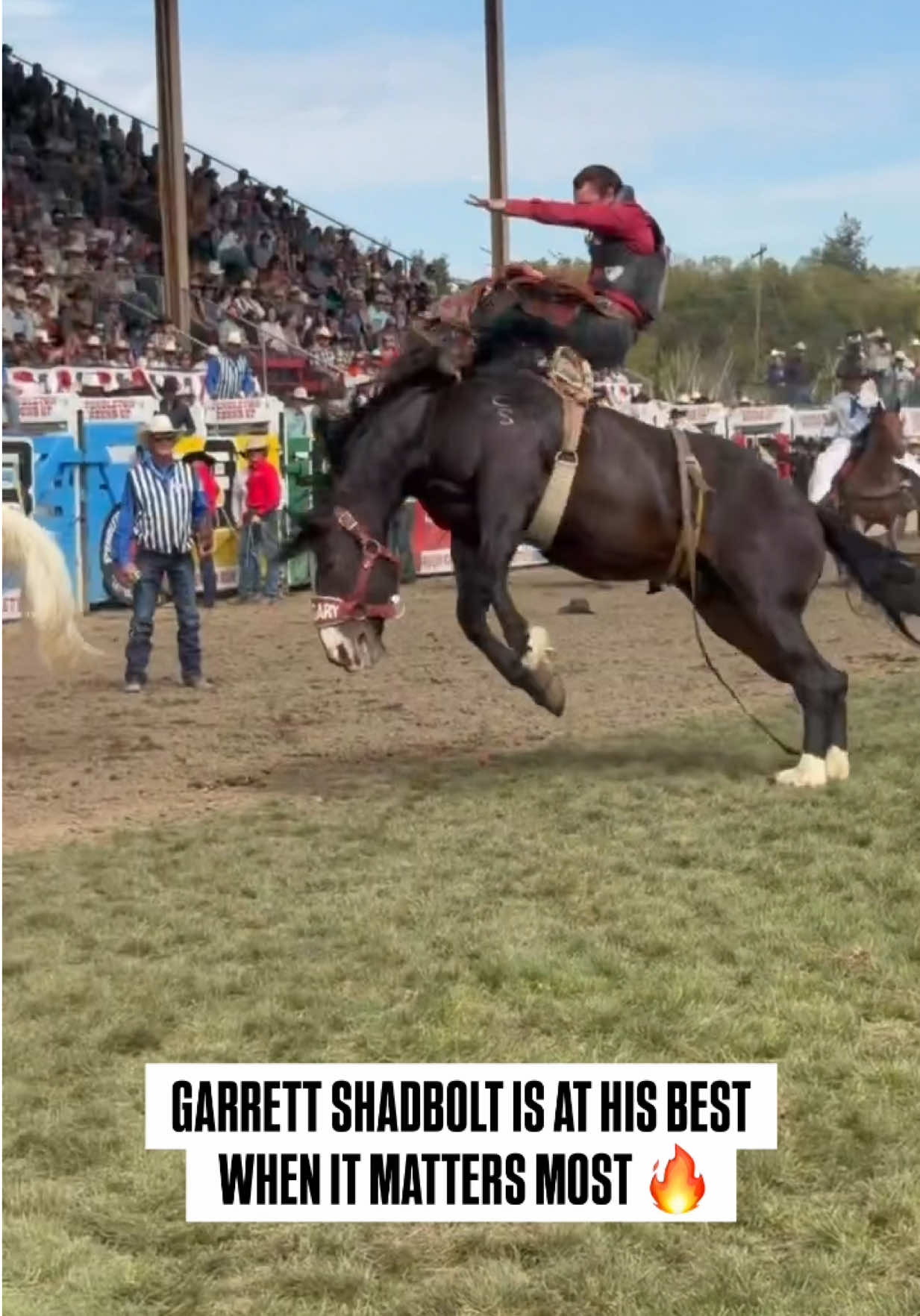 @cowboy_plus