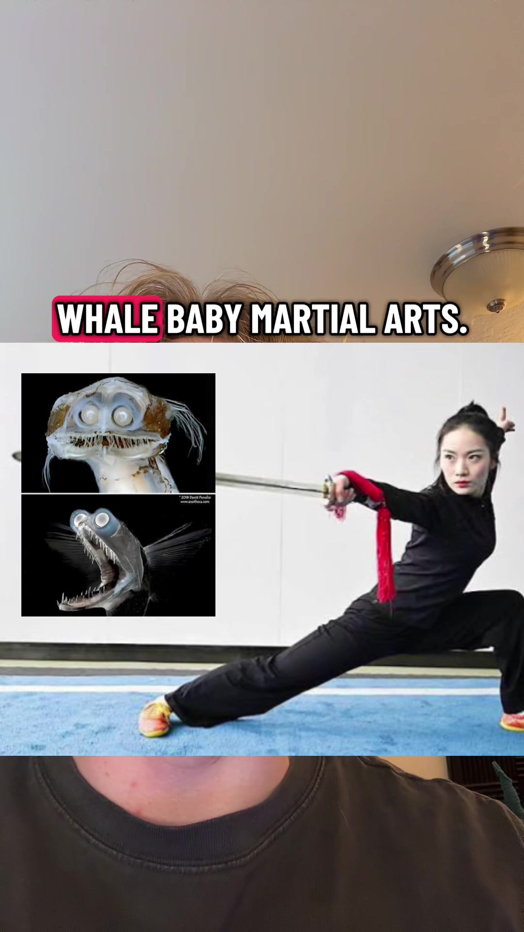 @DapDerDapy
