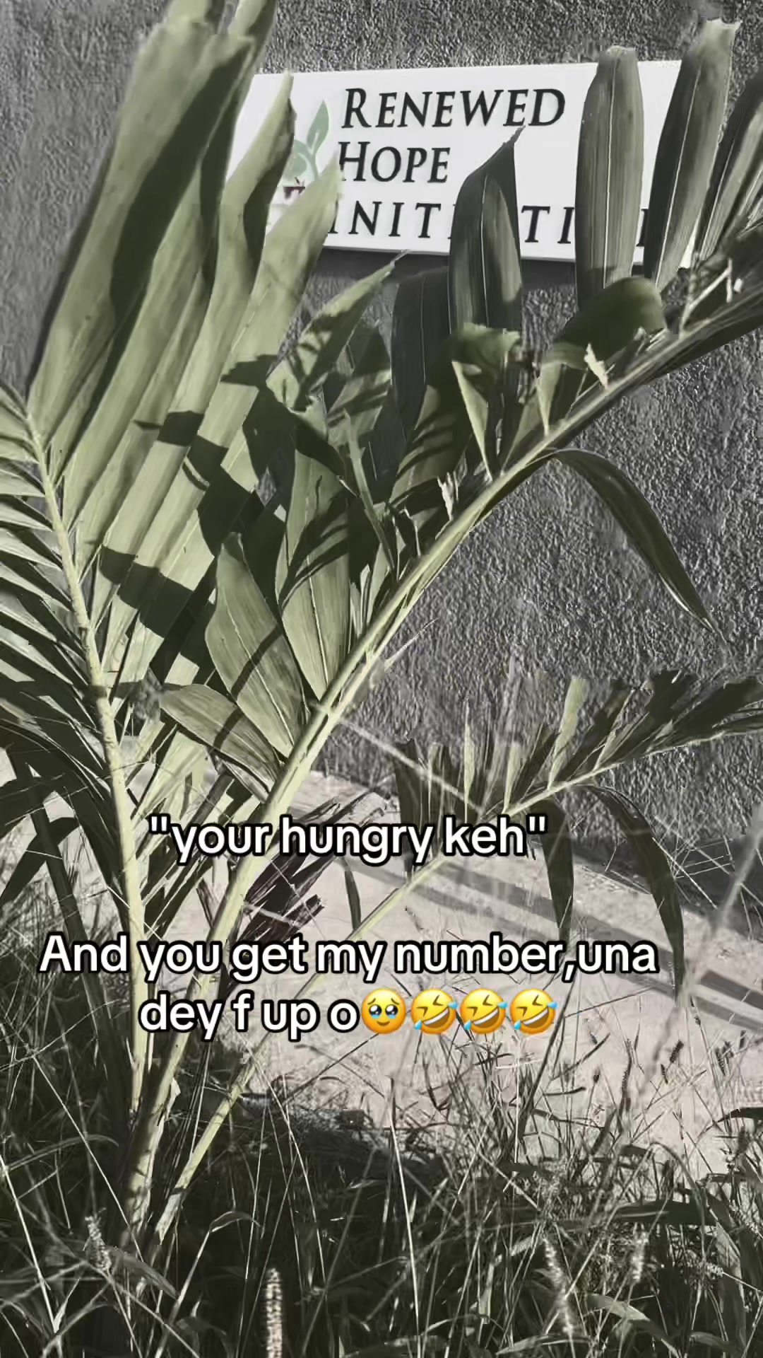 @๐ฎ๐๐๐๐ ๐โค๏ธ