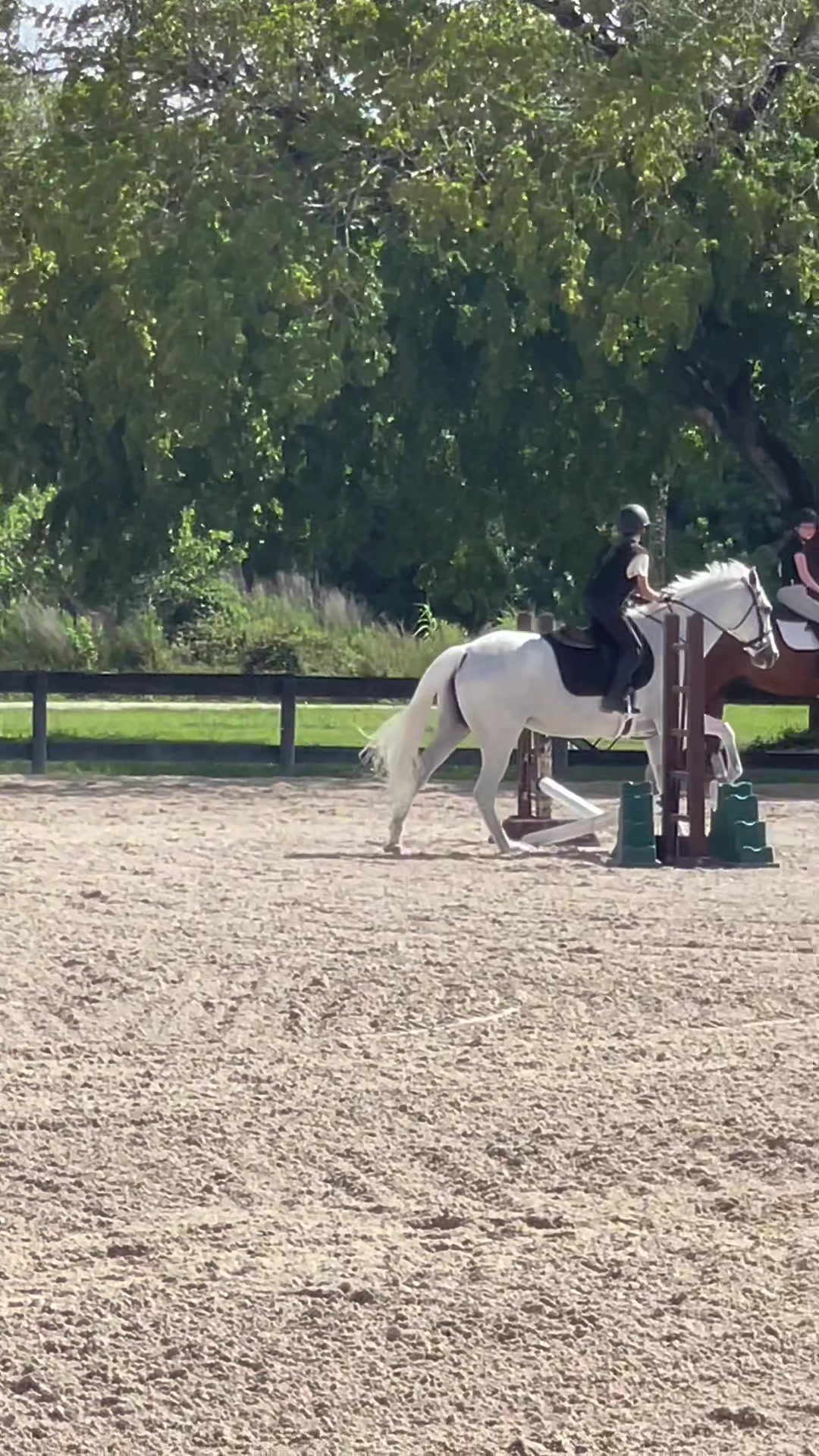 @eleanor.eq