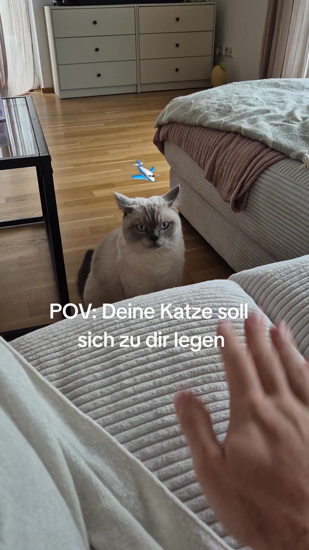 @Snoui