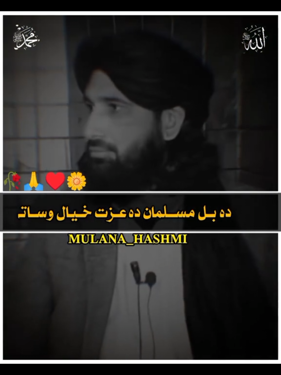 @🌹مولانا خلیم سید ھاشمی🌹