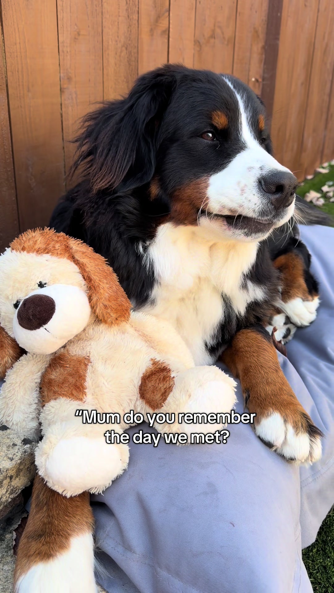 @mooseandjen