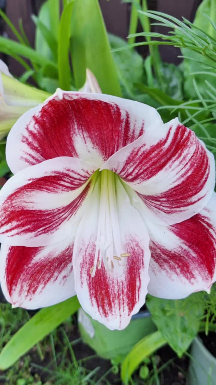 @Natur und Garten