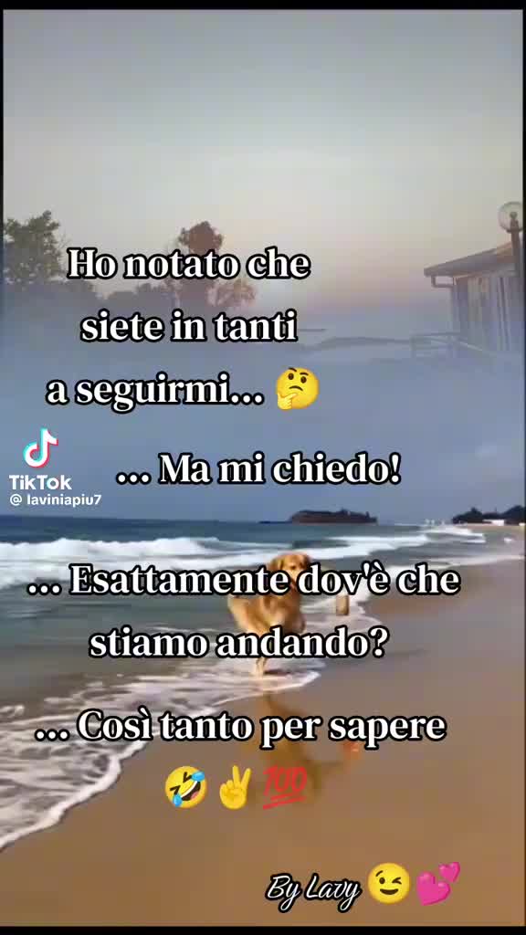 @Lorella Scarpelli