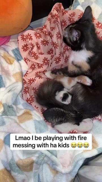 @ivyismotion