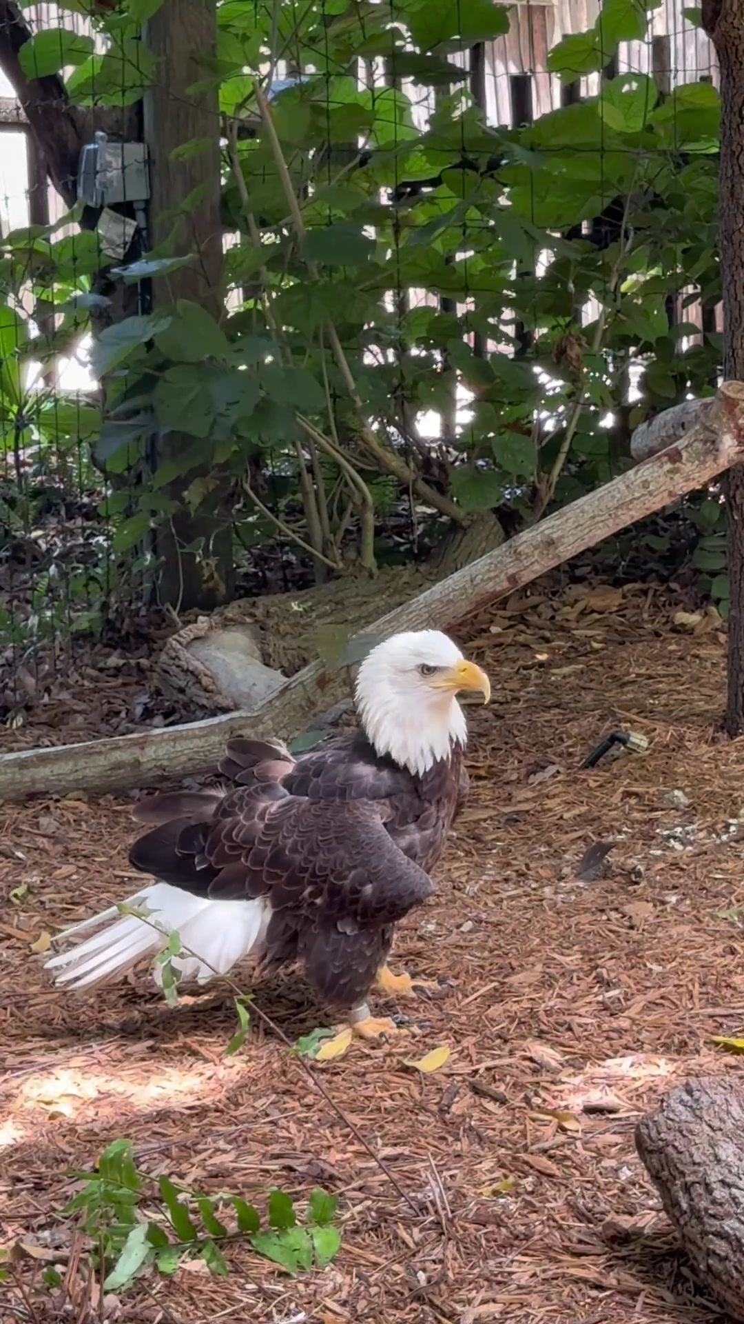 @Palm Beach Zoo