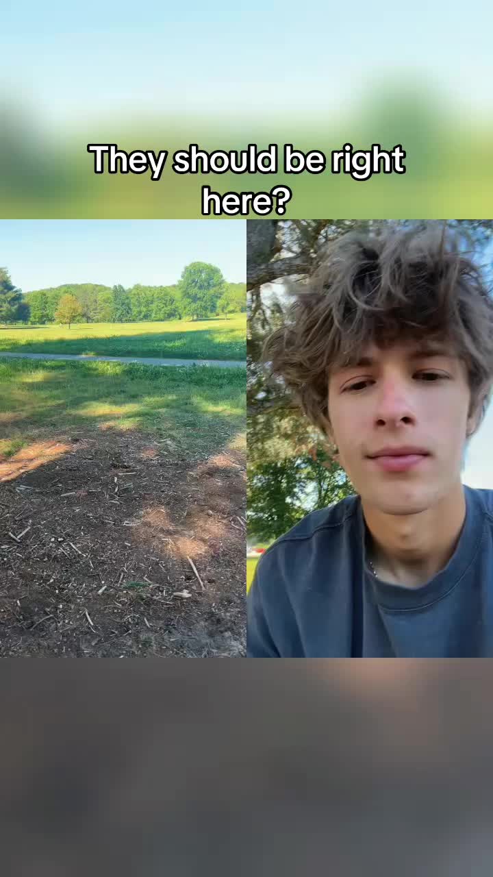 @Carson 🦖