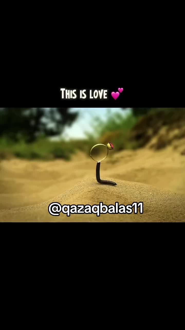 @𝐐𝐀𝐙𝐀𝐐 𝐁𝐀𝐋𝐀𝐒𝐈𝐈