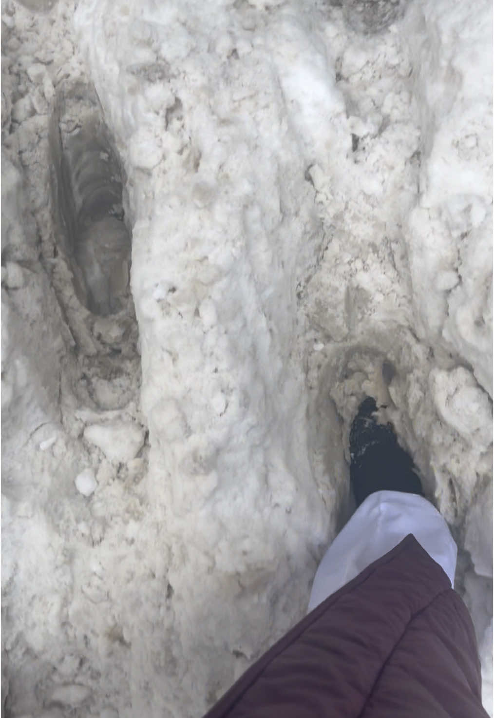 @josie_marshall